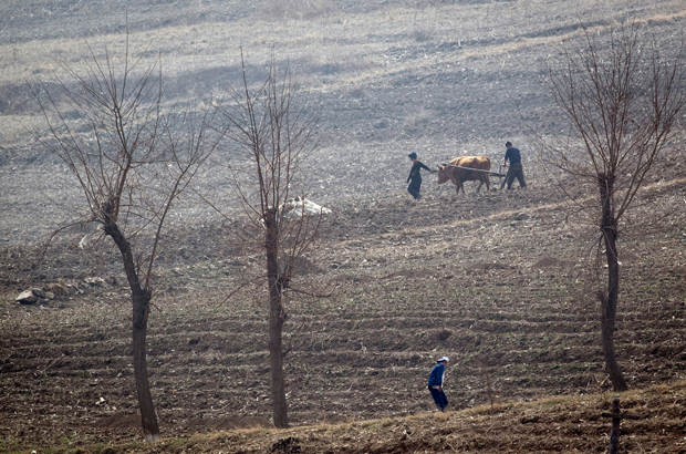 Coreia do Norte, Kim Jong-un, Coreia do Sul, China, deserção, ano novo - Agricultores norte-coreanos trabalham nos campos perto de Sinuiju (Johannes Eisele/AFP/Getty Images)